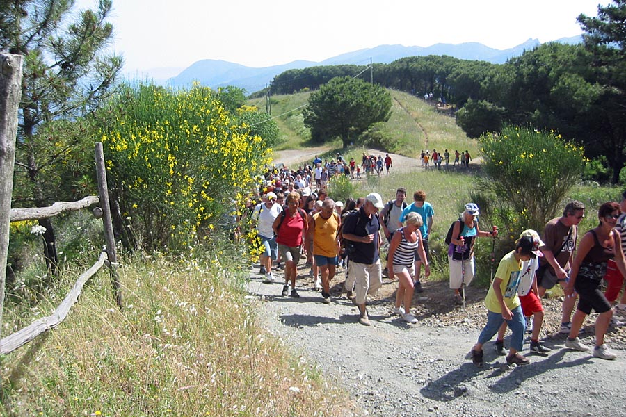 Escursioni a Lacona